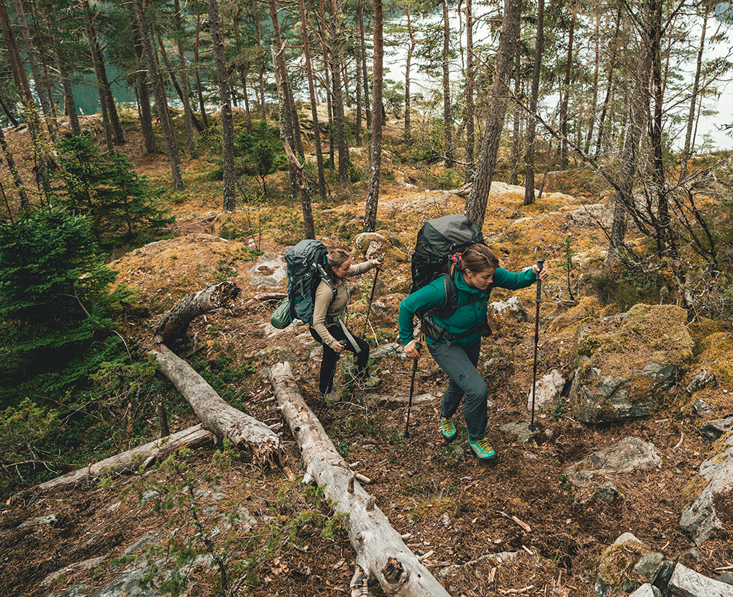 Coniston T7 Vandrestave
