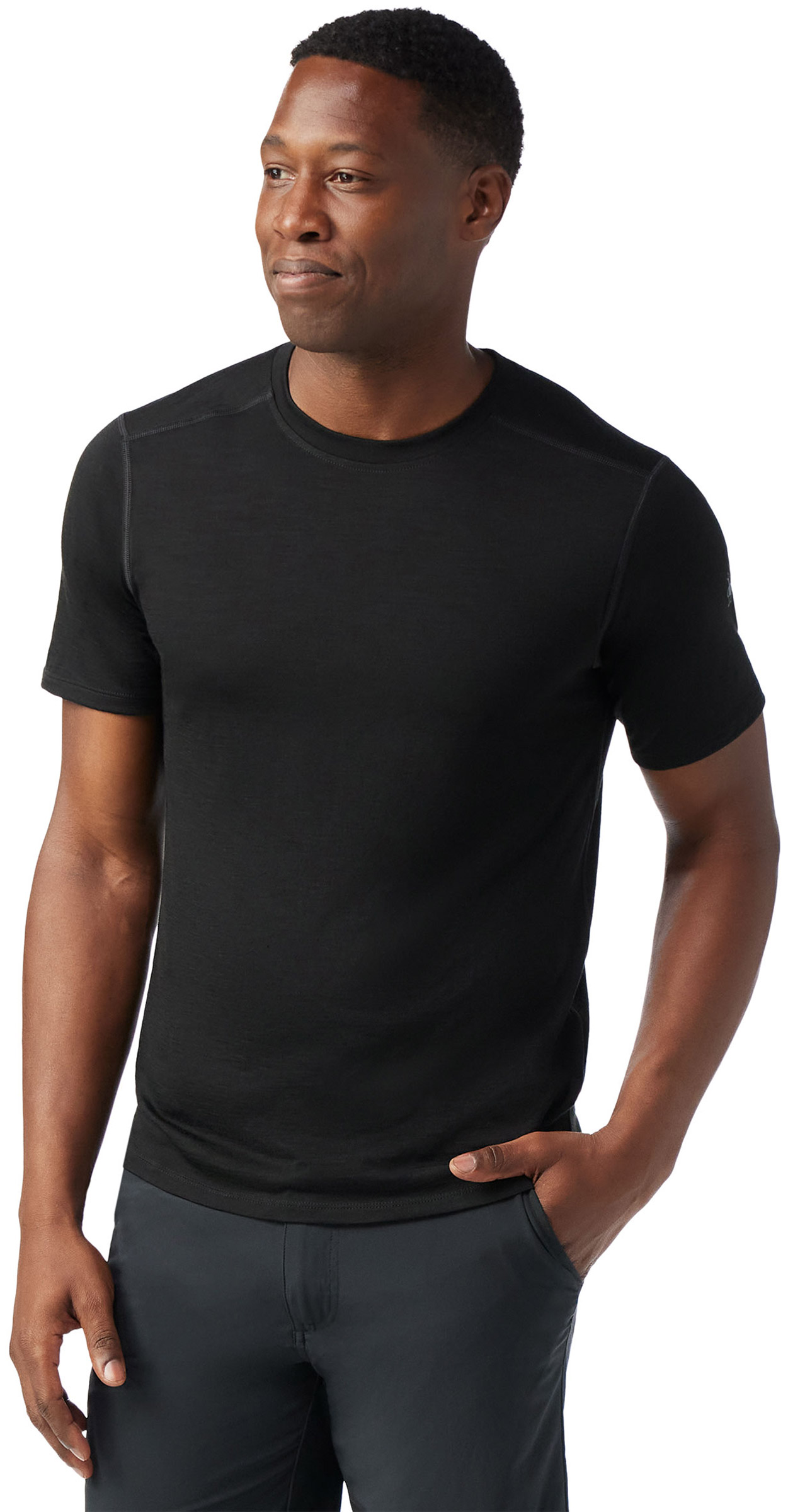 Merino Short Sleeve Tee SmartWool brands