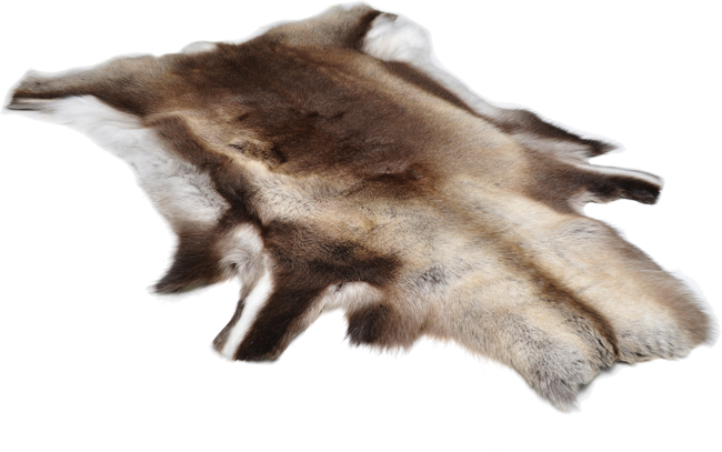 Rensdyrskind Imprægneret Friluftslageret glamping