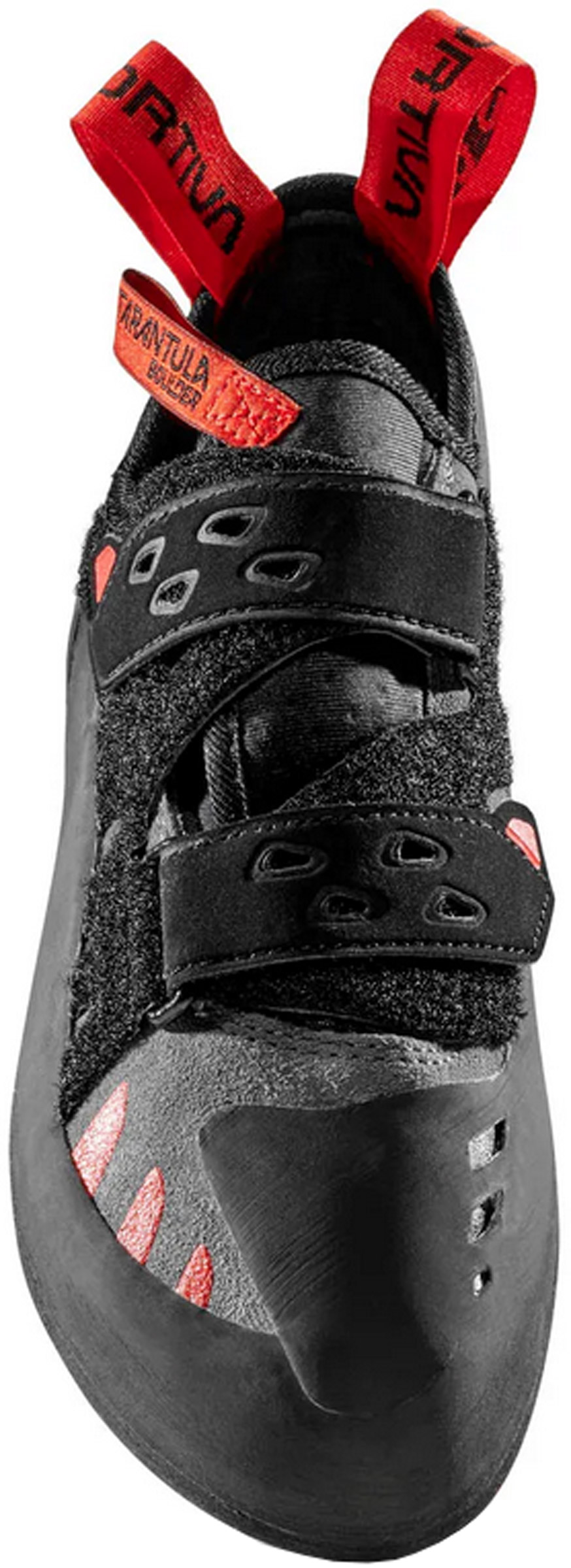 Tarantula Boulder Unisex