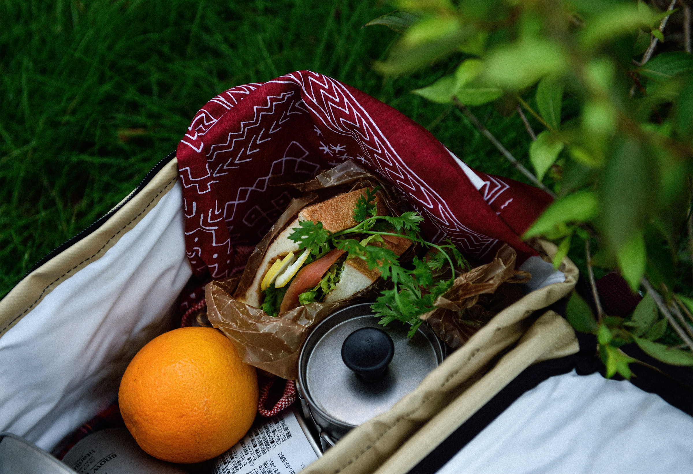 Titanium French Press