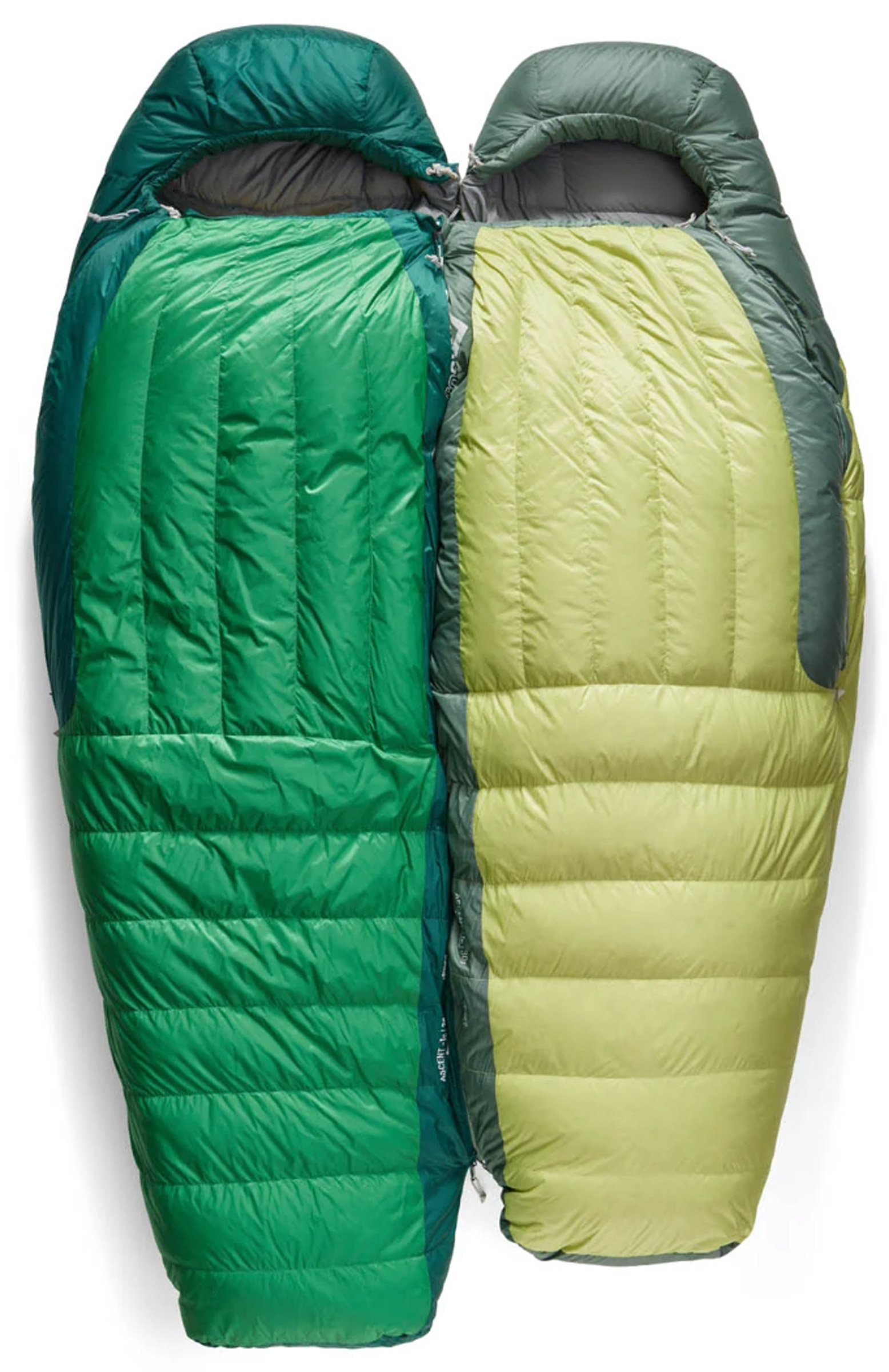 Ascent -9C/15F Regular Dunsovepose