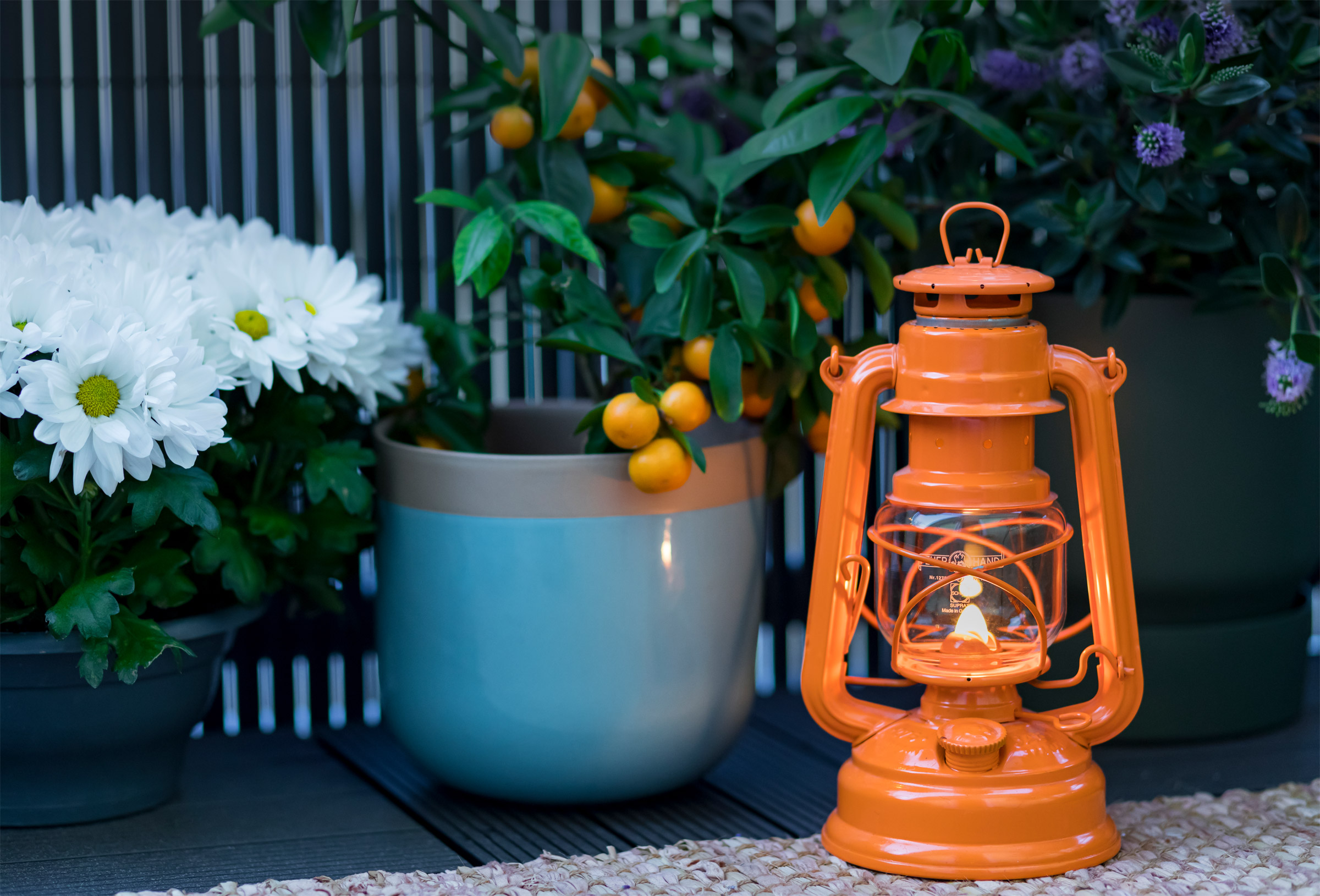 Hurricane Lantern Baby Special 276
