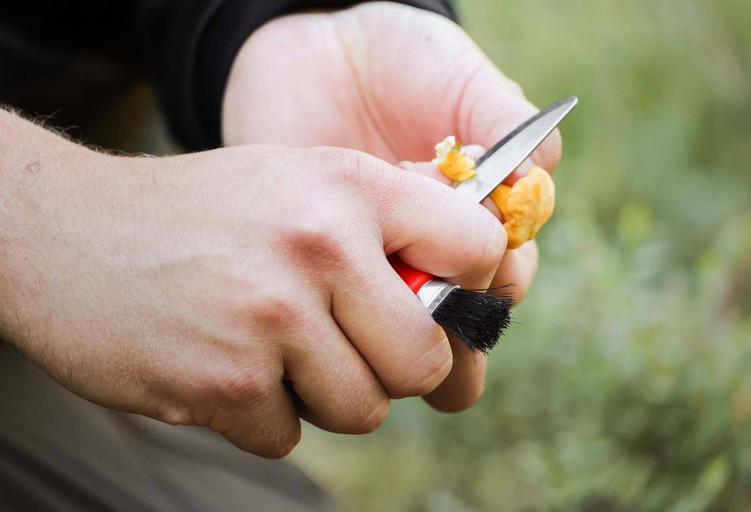 Karl-Johan Mushroom Knife (S) Svampekniv