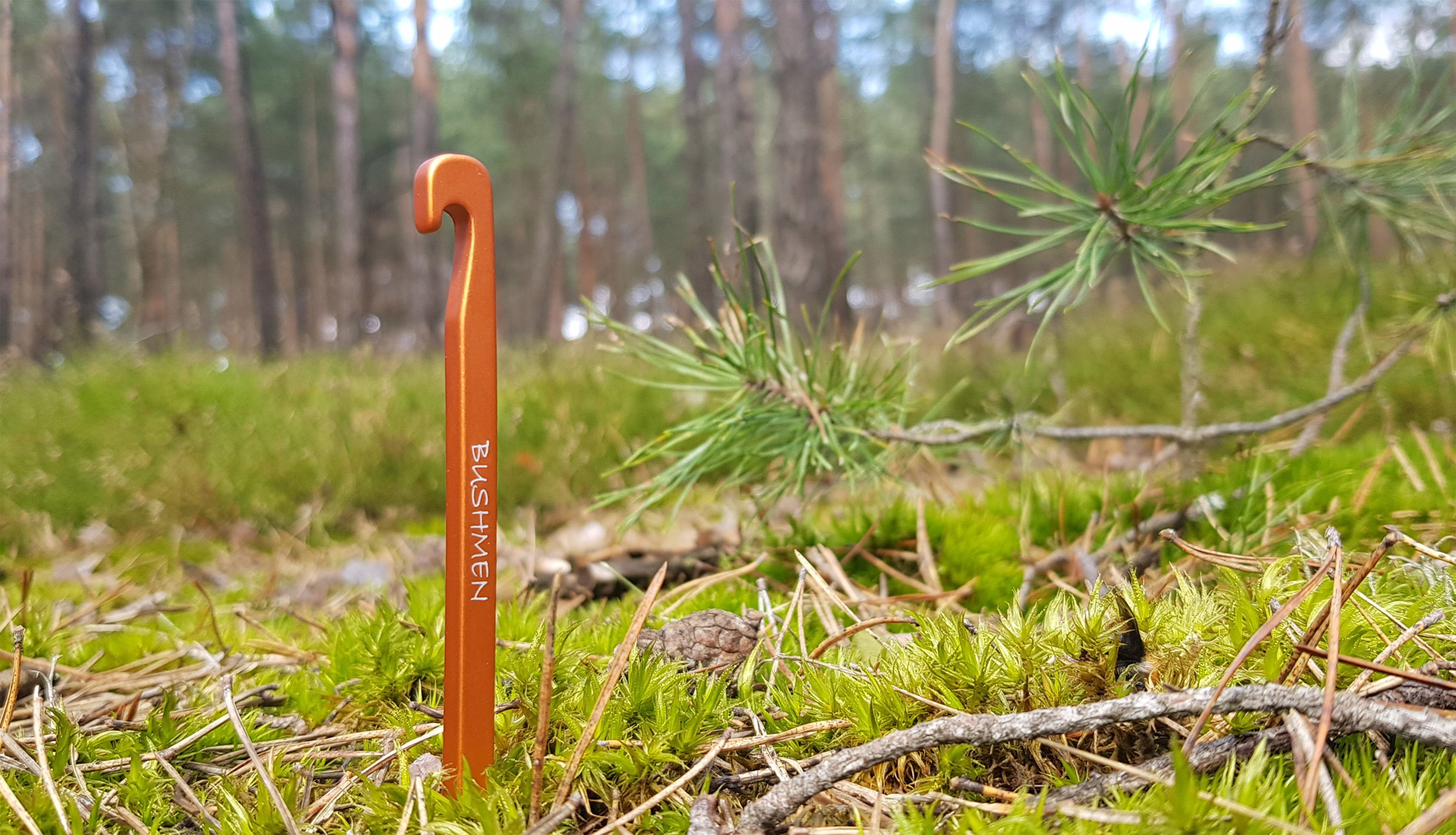 Ultralight Nail Pegs, 6 stk