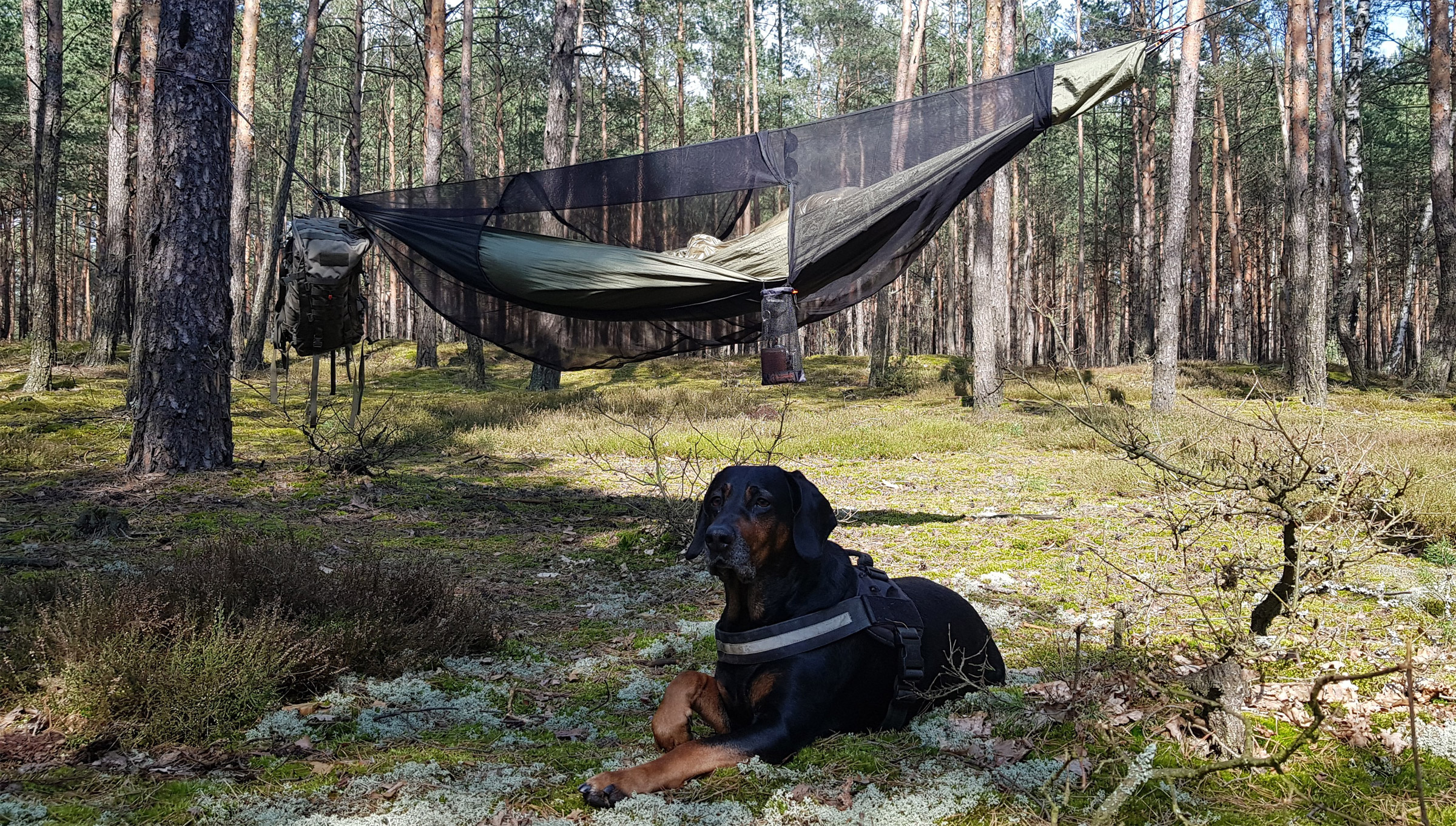 Jungle Long Hængekøjesæt